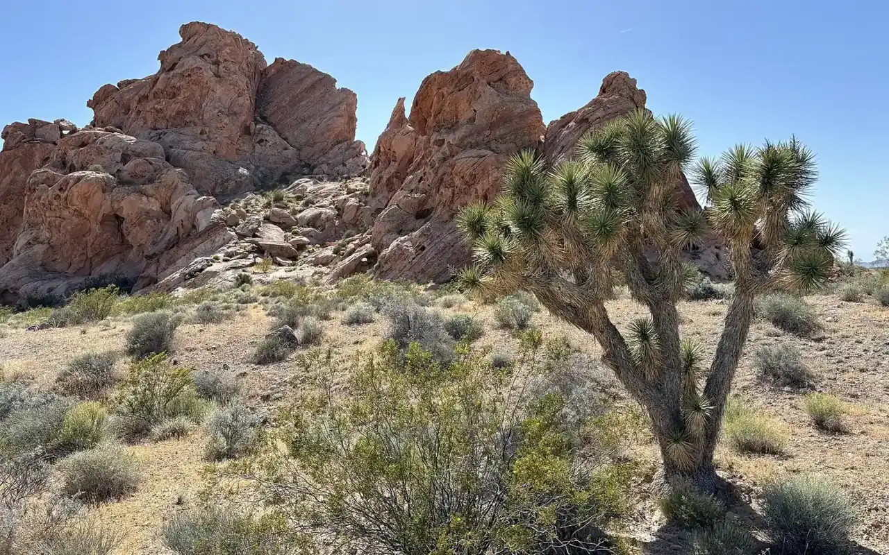 Mojave Desert landscape near Las Vegas